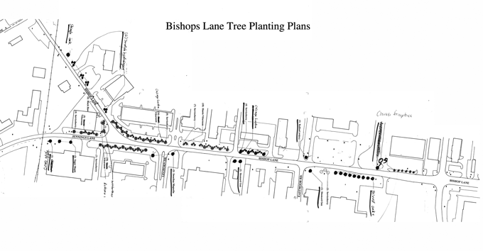 Bishop Lane Tree Plans